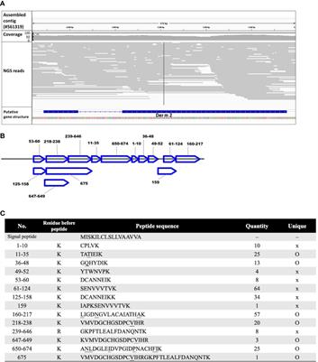 Systematic Characterization of the Group 2 House Dust Mite Allergen in Dermatophagoides microceras